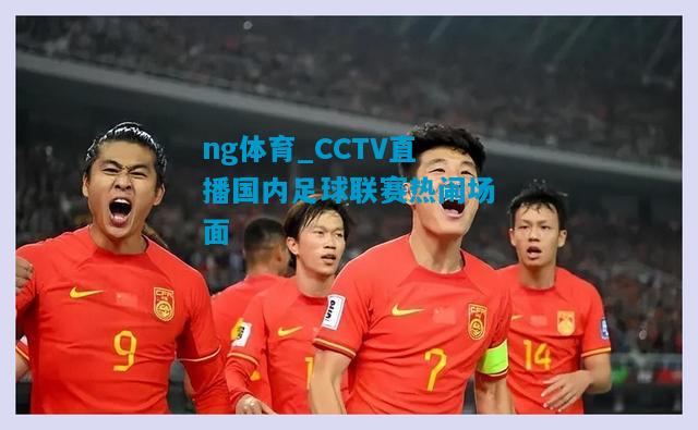 CCTV直播国内足球联赛热闹场面