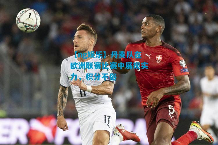 【ng娱乐】丹麦队在欧洲联赛比赛中展现实力，积分不俗