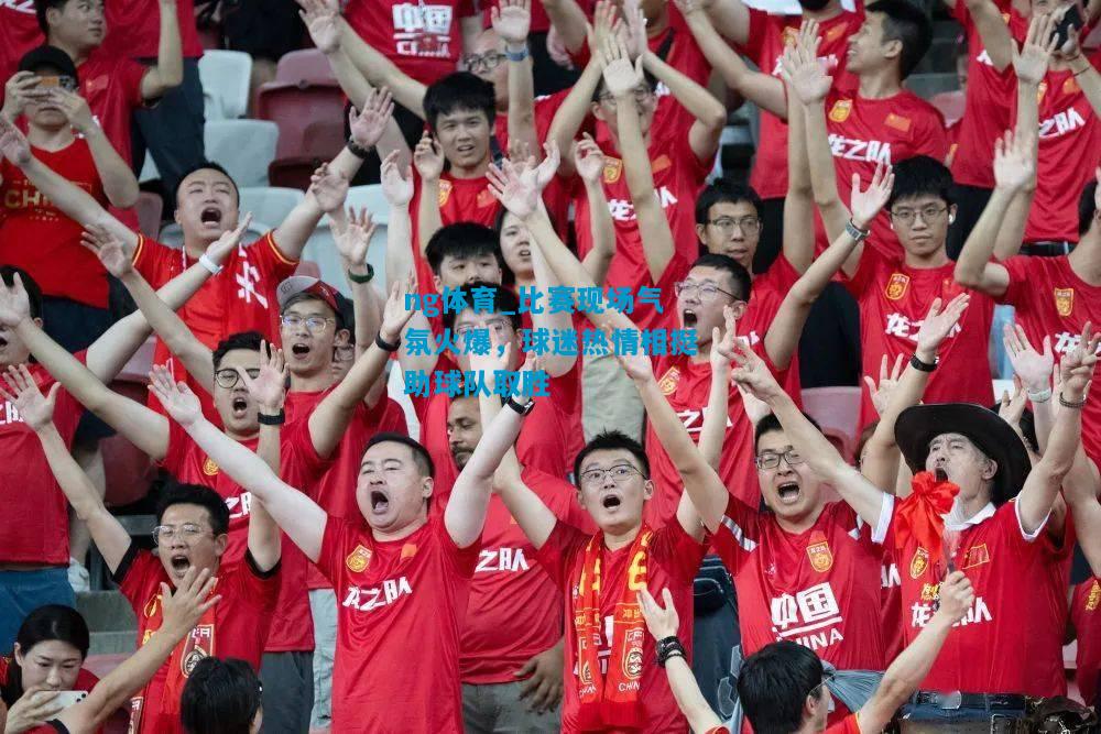 比赛现场气氛火爆，球迷热情相挺助球队取胜